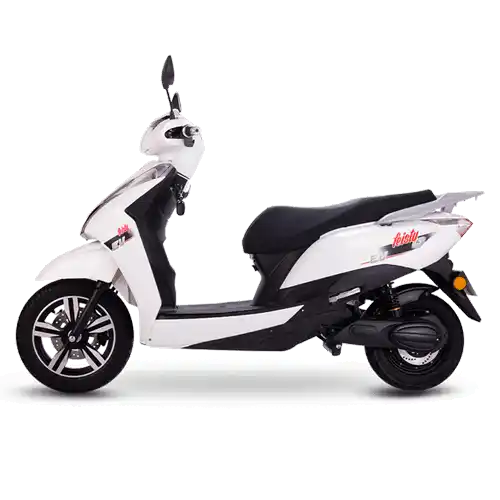 Jaunty Plus Jaunty Plus